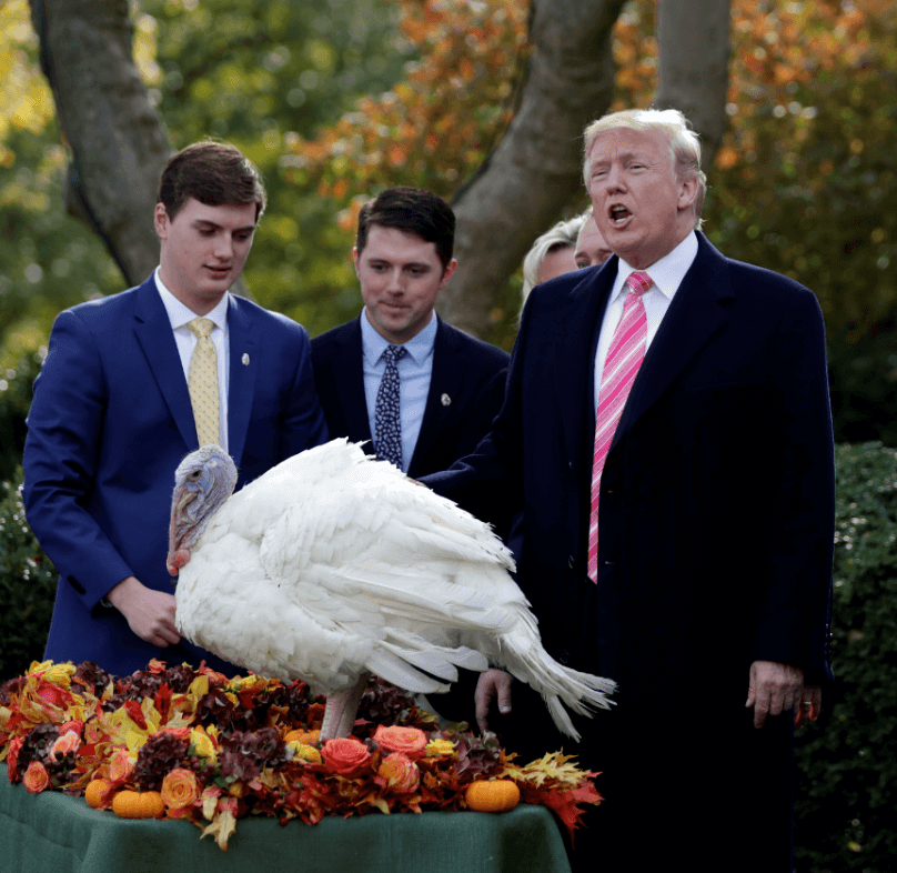 Trump honra tradición y libra a dos pavos de ser comidos en Acción de Gracias