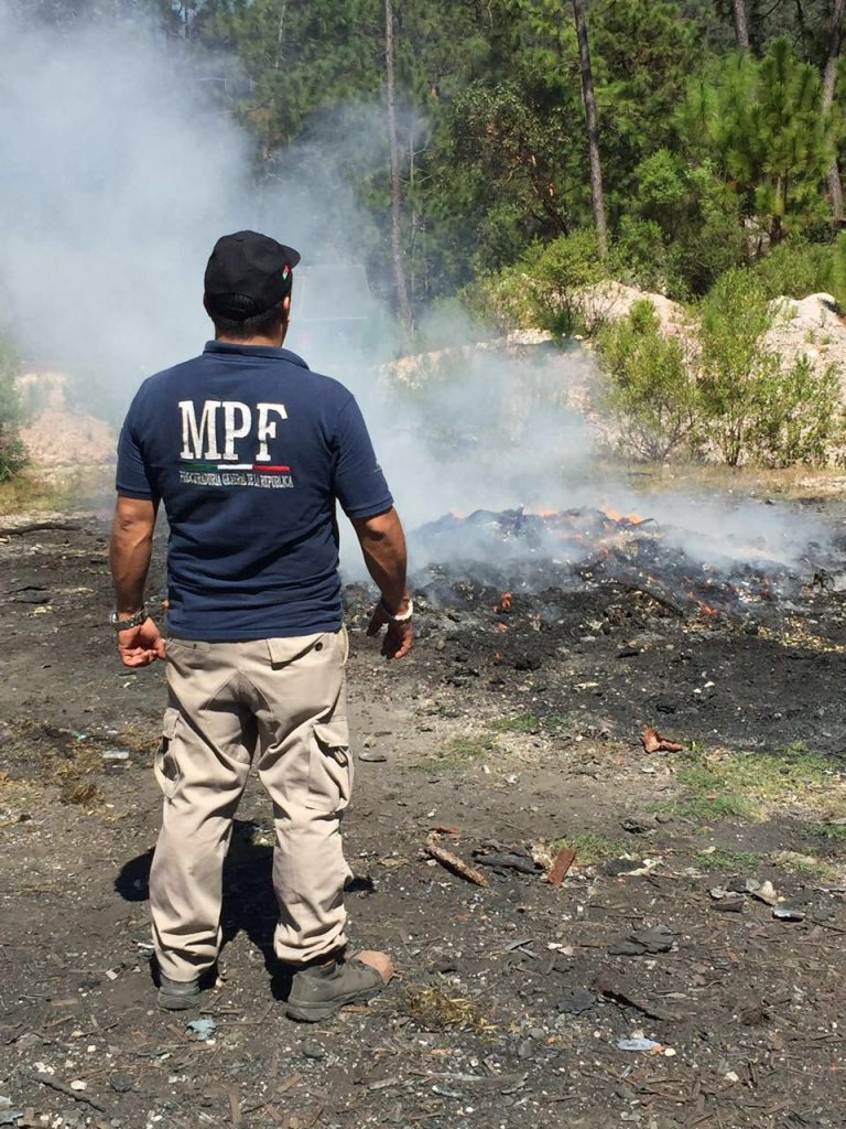 Incineran más de una tonelada de drogas en Guerrero