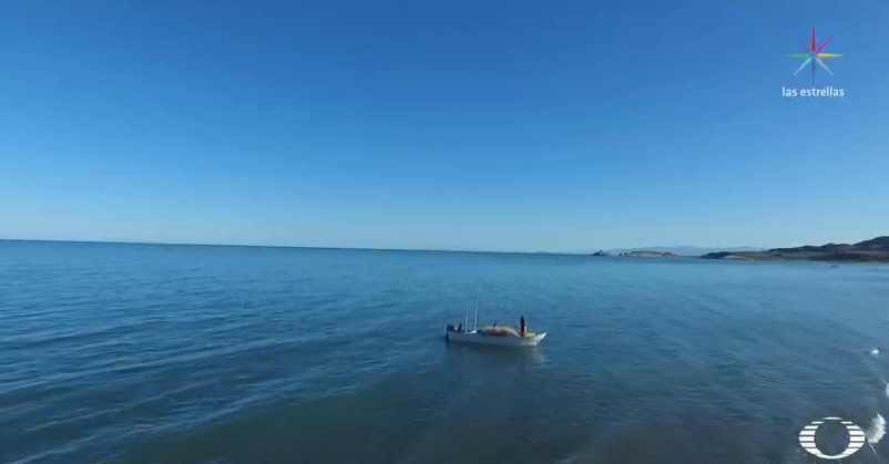 Lancha navega en el Alto Golfo de California 