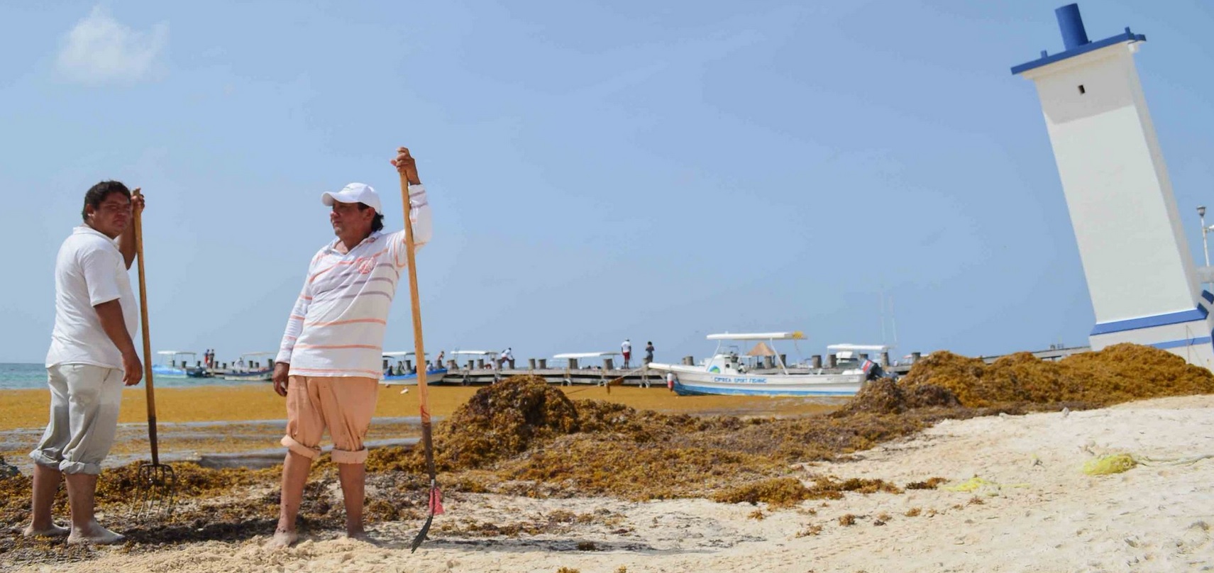 Fenómenos climatológicos provocan sargazo en playas de Q. Roo