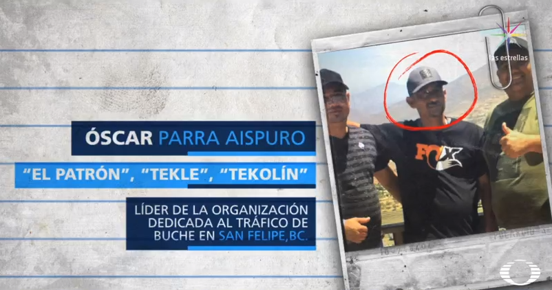 Óscar Parra Aispuro, presunto líder de organización de tráfico de totoaba 