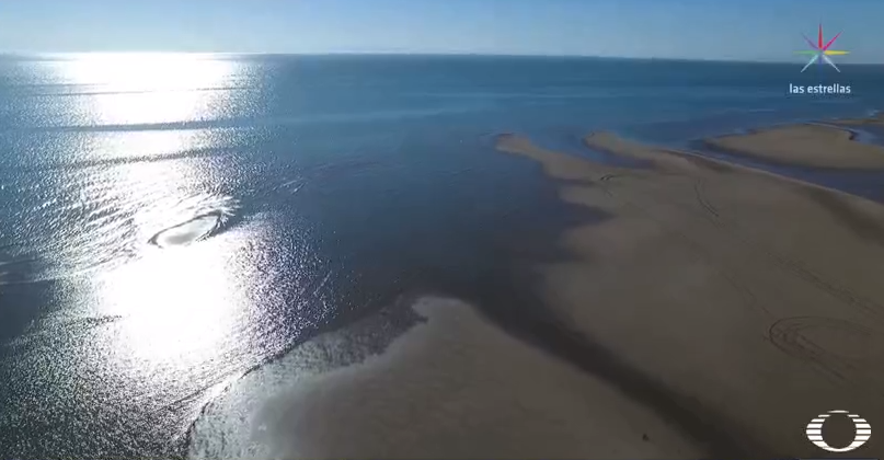 Playa del Alto Golfo de California, en Baja California 