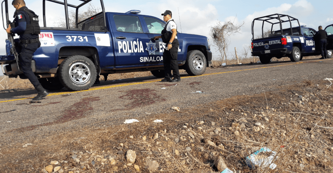 Detienen a seis en fiesta de Sinaloa; aseguran armas, dinero y felinos