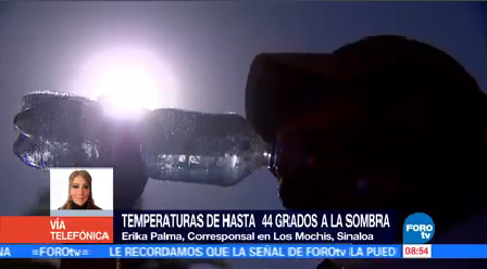 Registran Temperaturas Superiores 44 Grados Sinaloa
