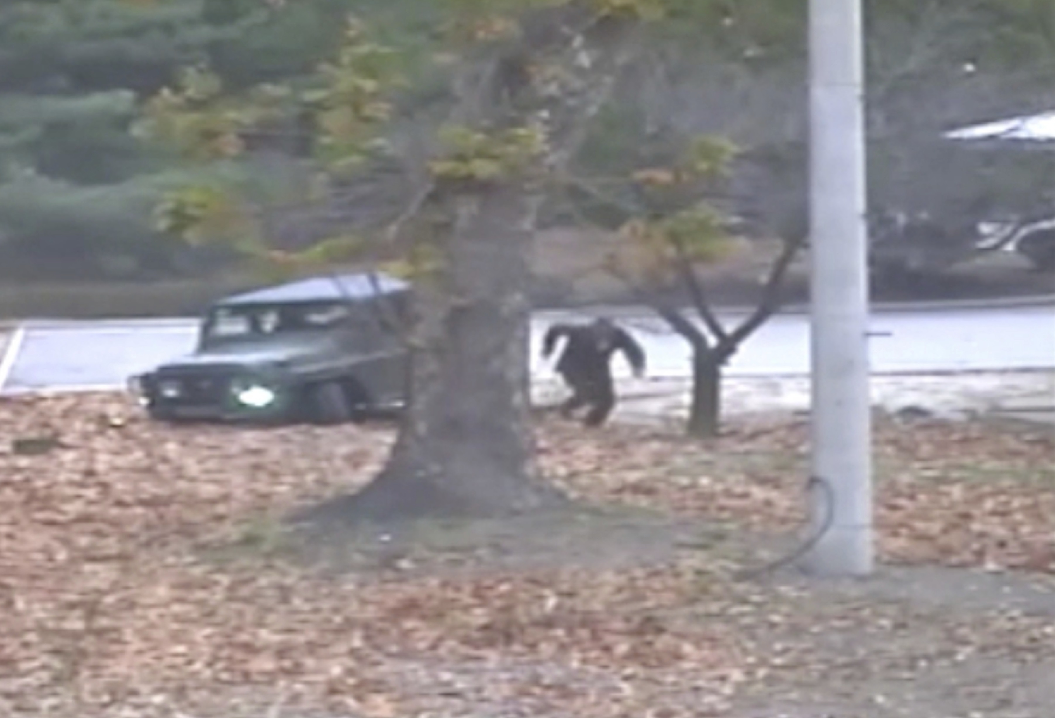 Revelan video persecución y deserción soldado norcoreano