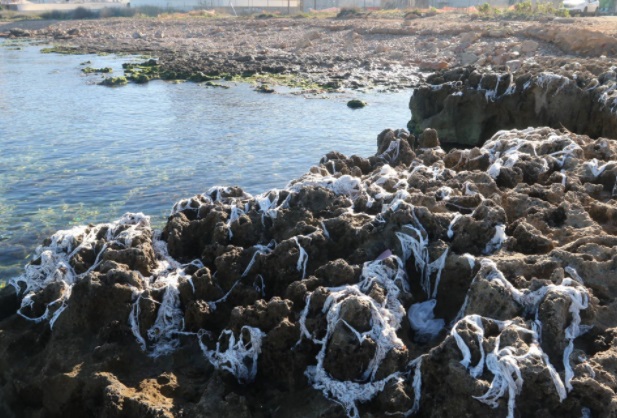 Toallitas húmedas contaminan el mar y las playas en Ibiza