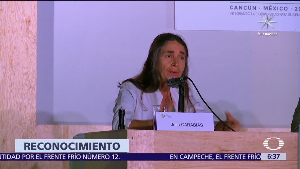 Julia Carabias recibirá la medalla 'Belisario Domínguez' el 6 de diciembre