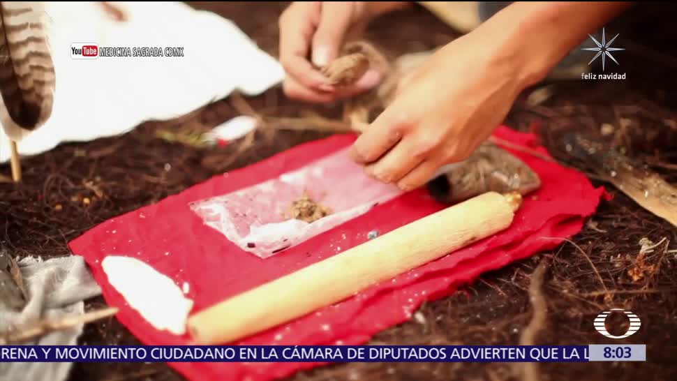 'La medicina del sapo', práctica alucinógena en Sonora