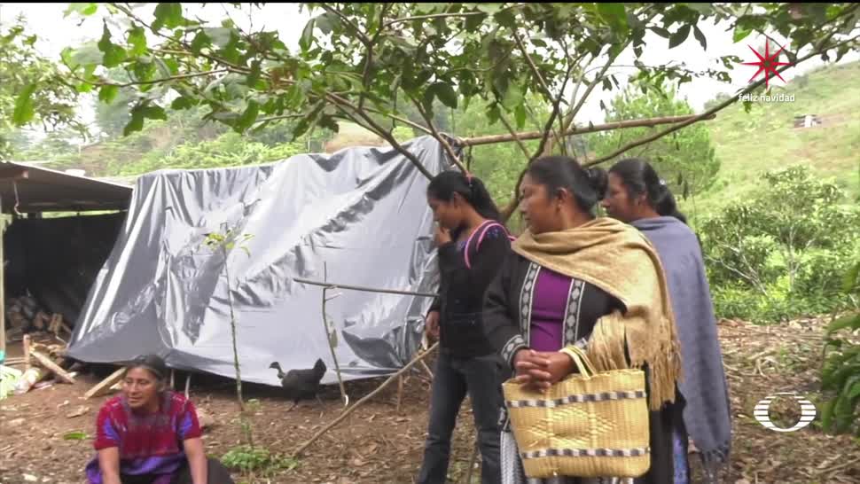 Desplazados de Chenalhó piden auxilio