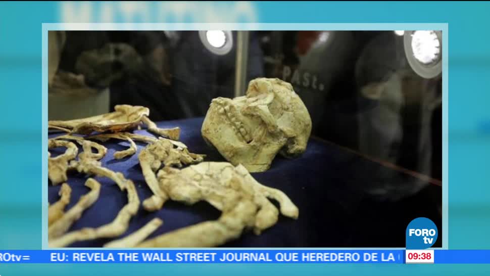Extra Extra: Encuentran esqueleto de hace 3 millones de años