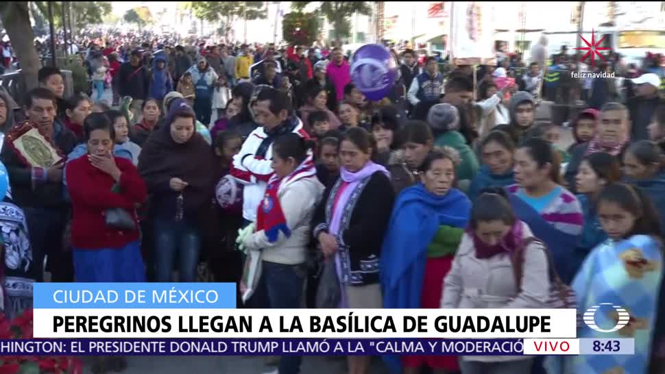 Llegan los peregrinos a la Basílica de Guadalupe