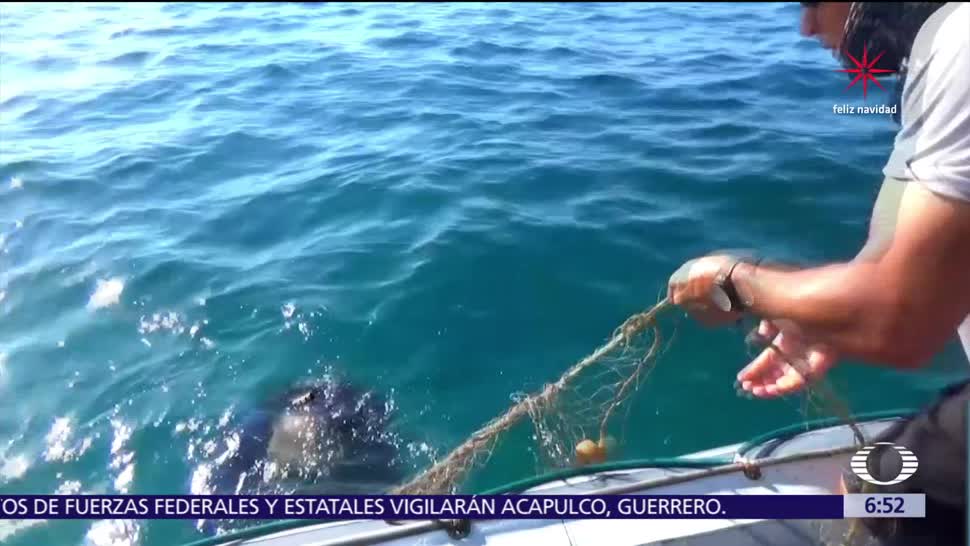 Pescadores mantienen actividades en Espíritu Santo, a pesar de ser área protegida