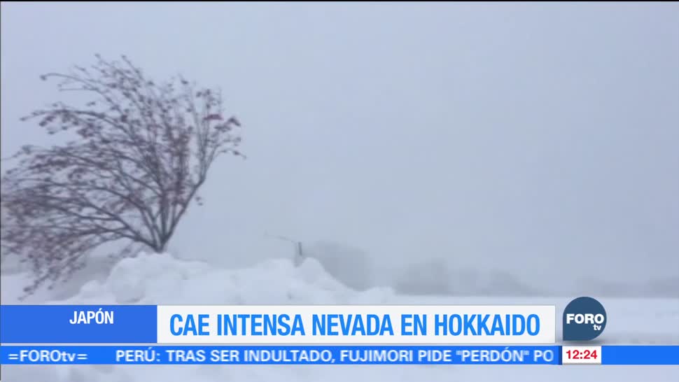 Nevada afecta la isla de Hokkaido, en Japón
