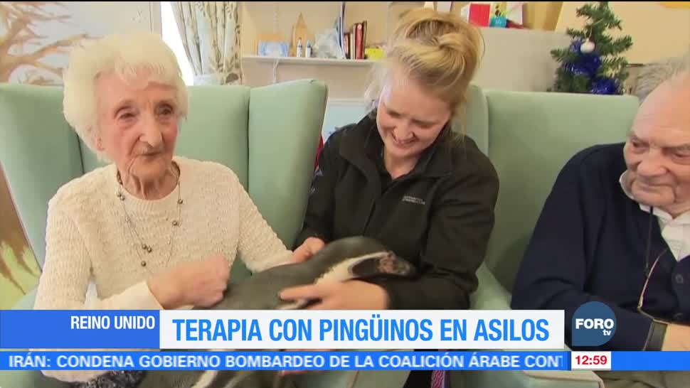 Dan terapia con pingüinos a los ancianos en asilos británicos