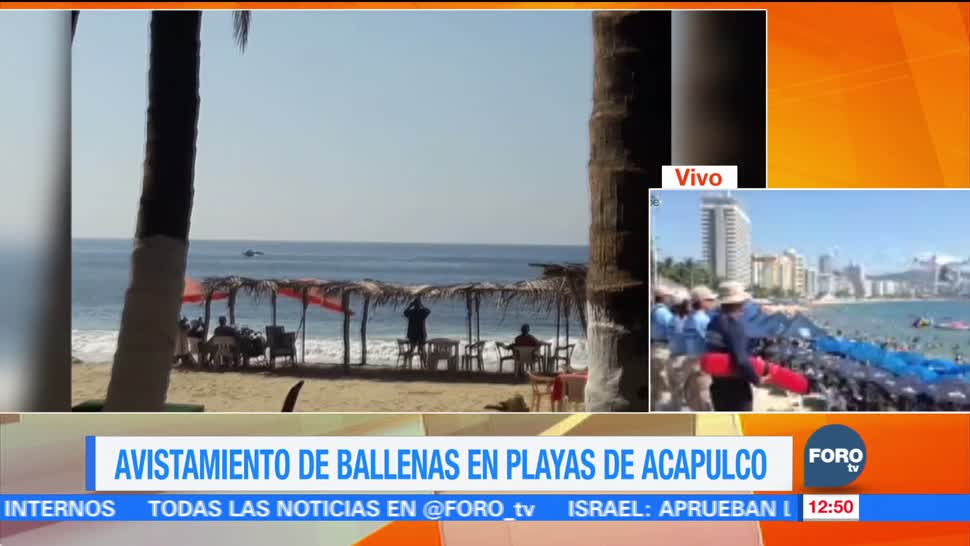 Ballenas jorobadas sorprenden a turistas en el puerto de Acapulco