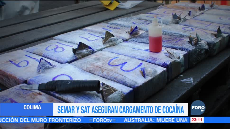 Semarnat y SAT aseguran cargamento de cocaína
