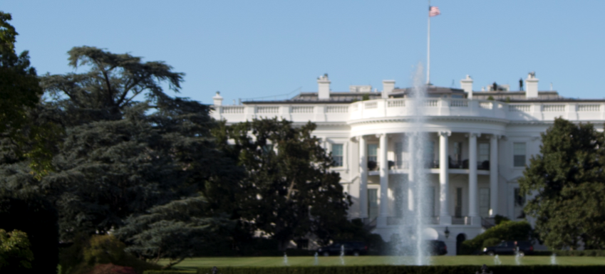 Melania Trump ordena retirar histórica magnolia de la Casa Blanca
