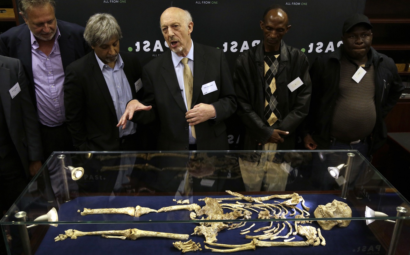Hallan en Sudáfrica esqueleto de Australopithecus