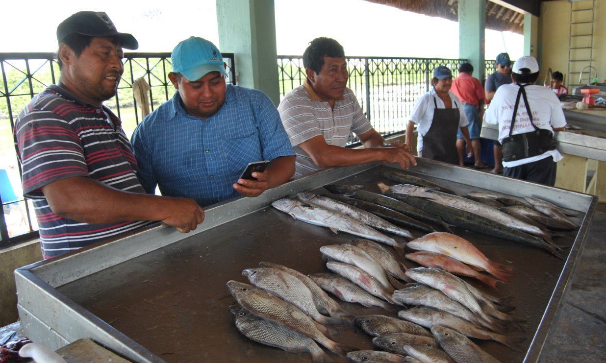 Pescados y mariscos, los platillos principales para cena de Navidad en Campeche