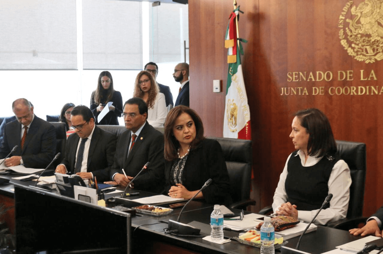 Senadores debaten por meses Ley de Seguridad Interior, Cristina Díaz