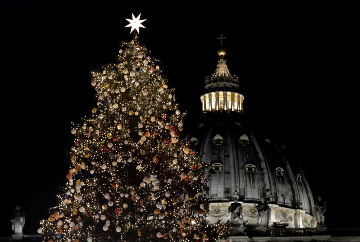 El Vaticano enciende un enorme árbol de Navidad. (AP)