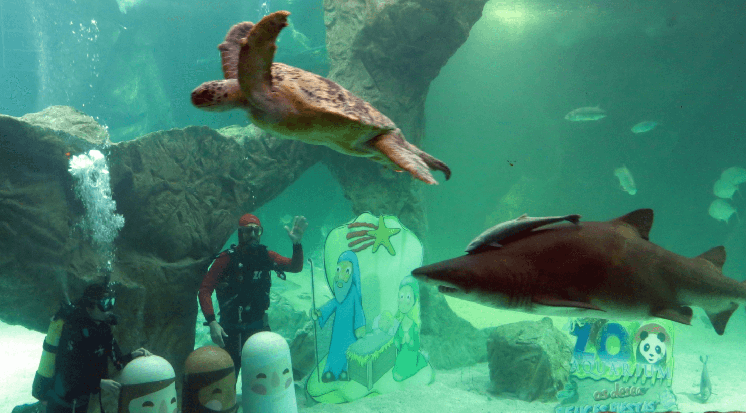 Zoo de Madrid desea feliz Navidad con nacimiento en acuario