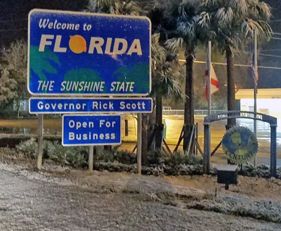 Cae nevada en Florida, conocida como 'el estado del sol'