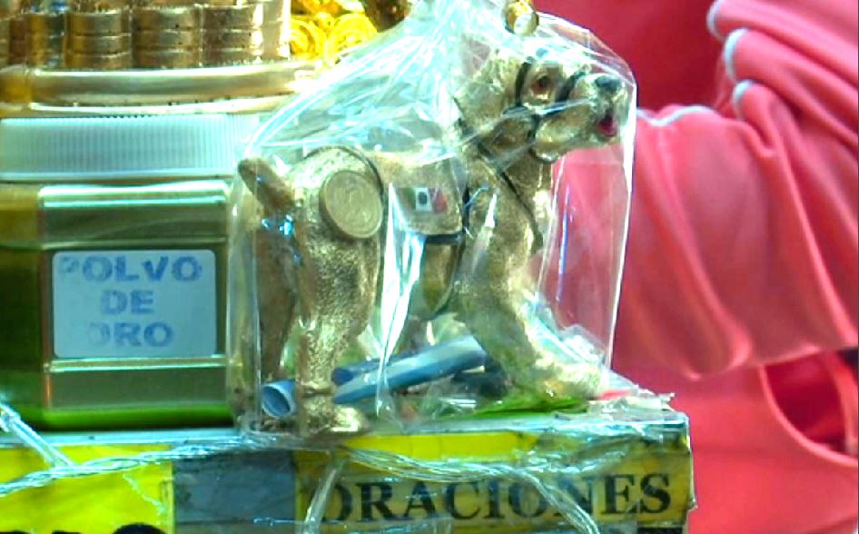 ‘Frida’ es amuleto para el 2018 por el Año del Perro