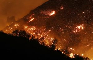 LOS ANGELES, CA - DECEMBER 05: The Creek Fire burns on a hillside in the Shadow Hills neighborhood on December 5, 2017 in Los Angeles, California. Strong Santa Ana winds are rapidly pushing multiple wildfires across the region, expanding across tens of thousands of acres and destroying hundreds of homes and structures. (Photo by Mario Tama/Getty Images)