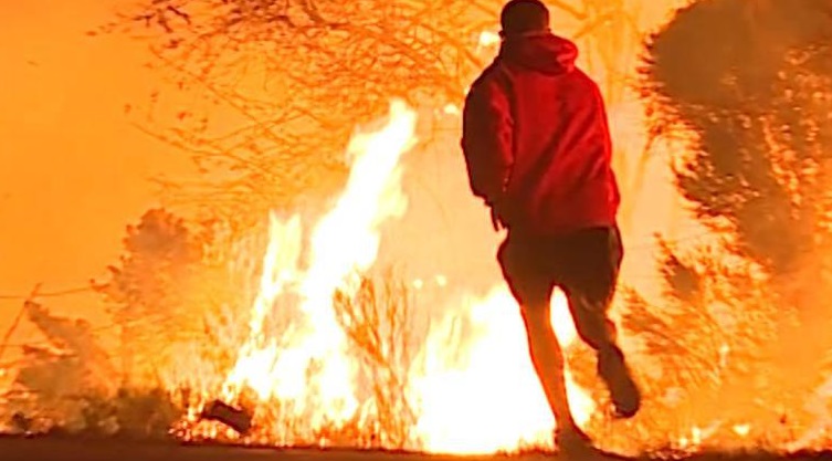 Rescatan conejo atrapado incendio forestal California
