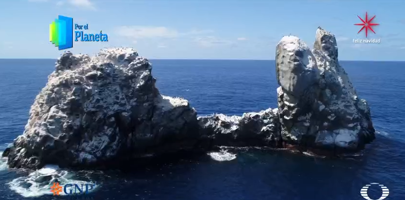 Islote de Roca Partida concentra la diversidad marina del Archipiélago de Revillagigedo