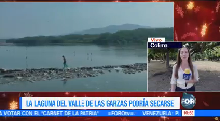 Laguna Valle Garzas Podría Secarse Bertha Reynoso
