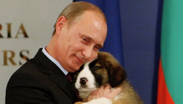Vladimir Putin endurece castigo por maltrato animal