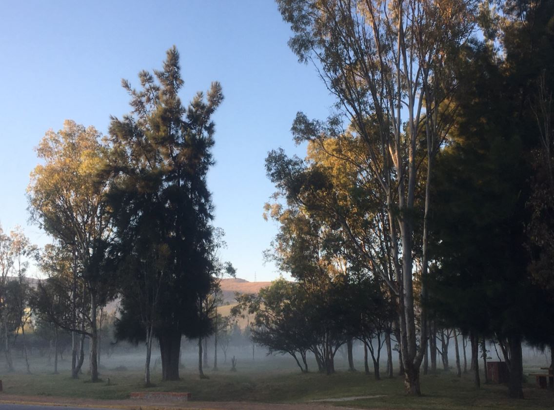 Tormenta invernal provoca temperaturas bajo cero en San Luis Potosí