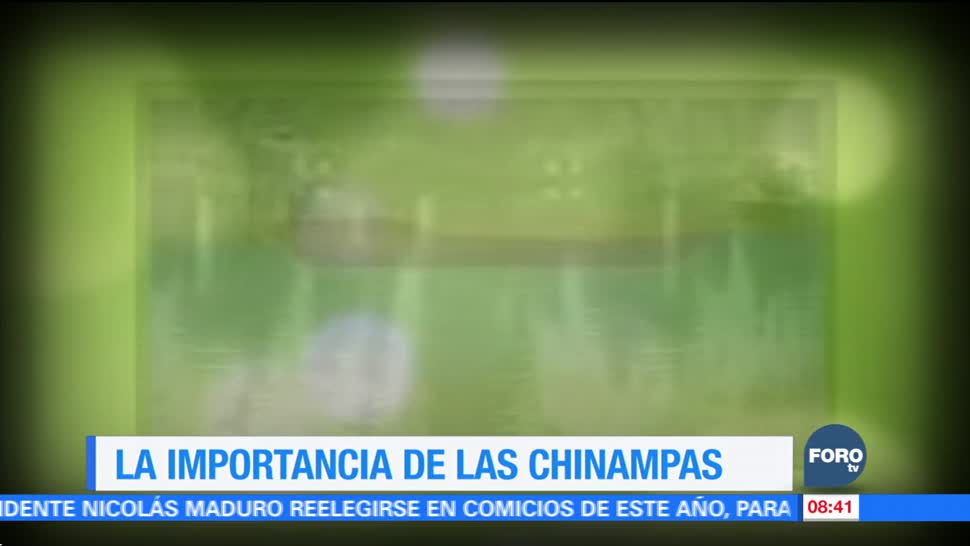 Ximena Cervantes habla de la importancia de las chinampas