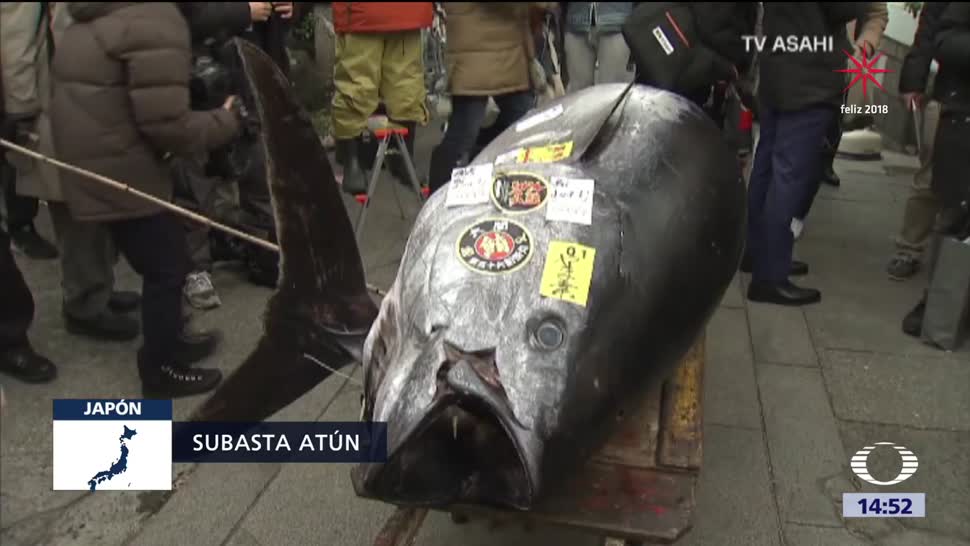 Venden atún gigante en más de 320 mil dólares en Tokio