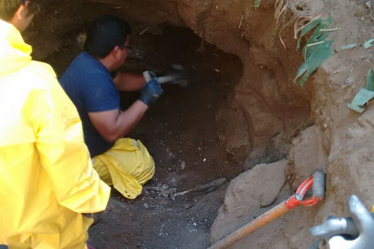 suman 33 cuerpos encontrados fosas clandestinas nayarit