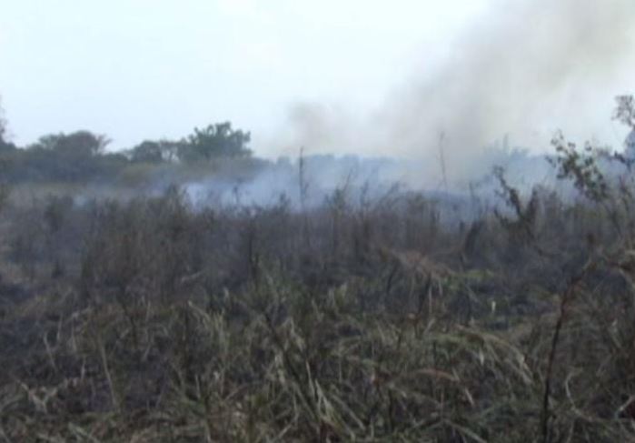 Quemas agrícolas causan incendios forestales en Veracruz