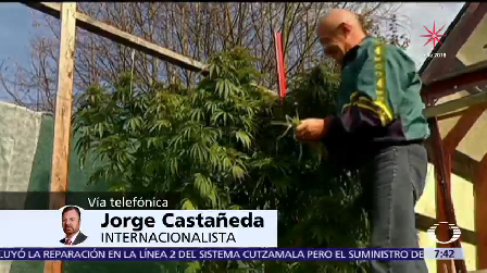 Jorge Castañeda Habla Legalización Marihuana