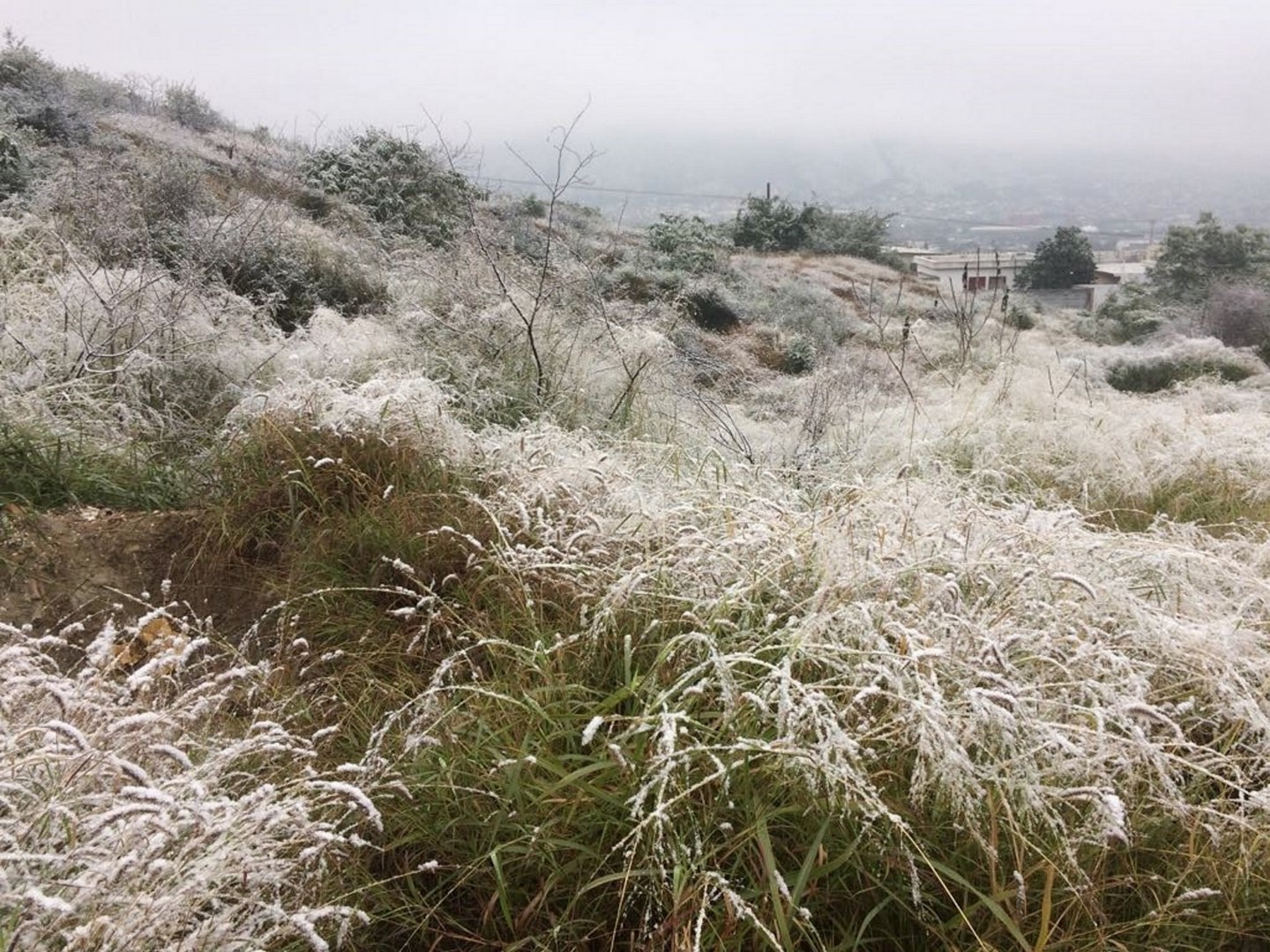 Pronostican caída de nieve o aguanieve en Coahuila