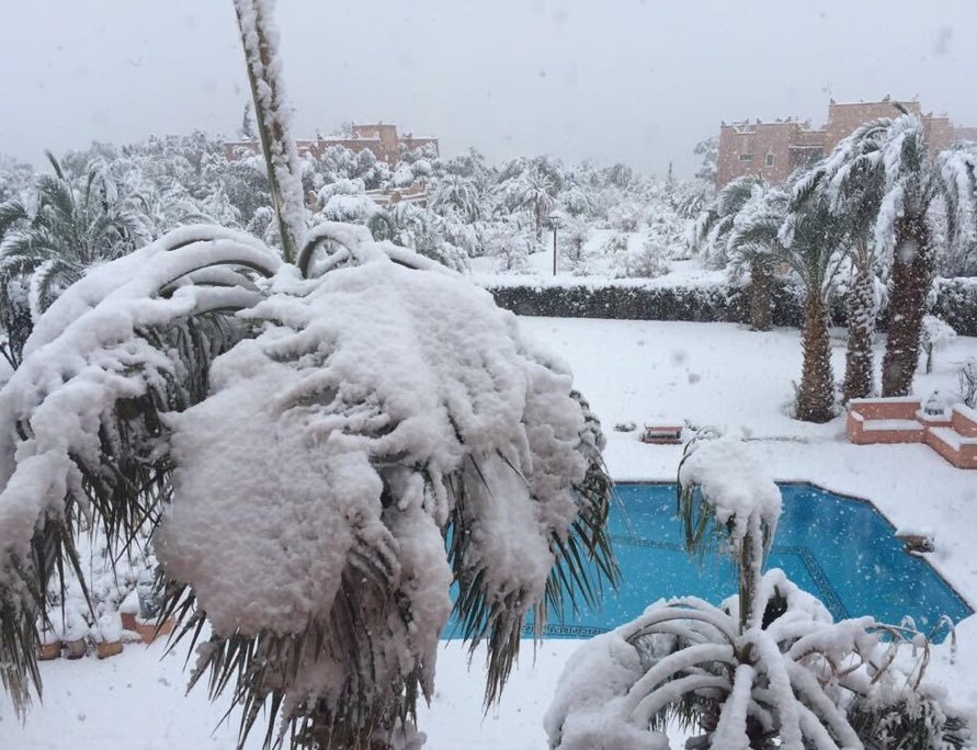 Cae nevada en desierto del Sahara, al sur de Marruecos