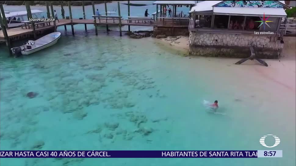 Niño logra escapar de cuatro tiburones que lo acechaban en las Bahamas