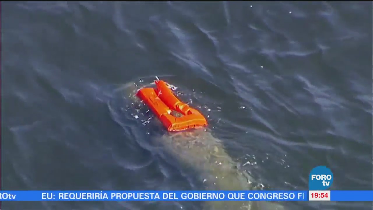 Rescatan a manatí con un salvavidas atorado en Florida