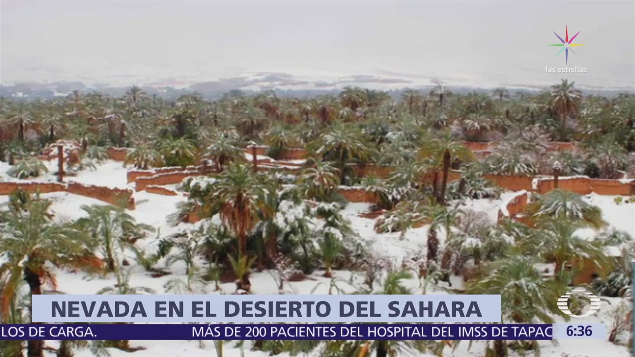 Se registra nevada en el desierto del Sahara, al sur de Marruecos