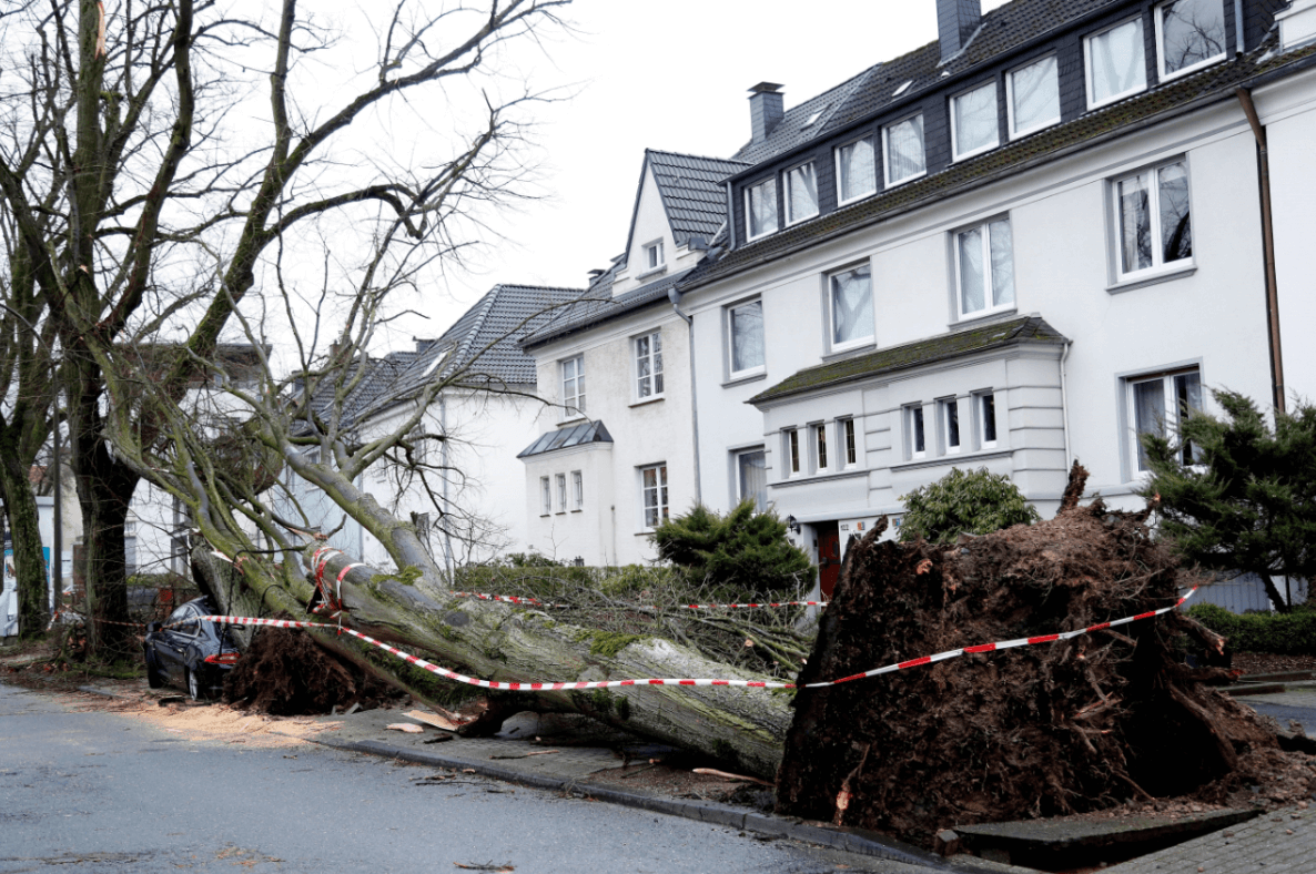 Un árbol cayó sobre un coche en Dortmund, Alemania