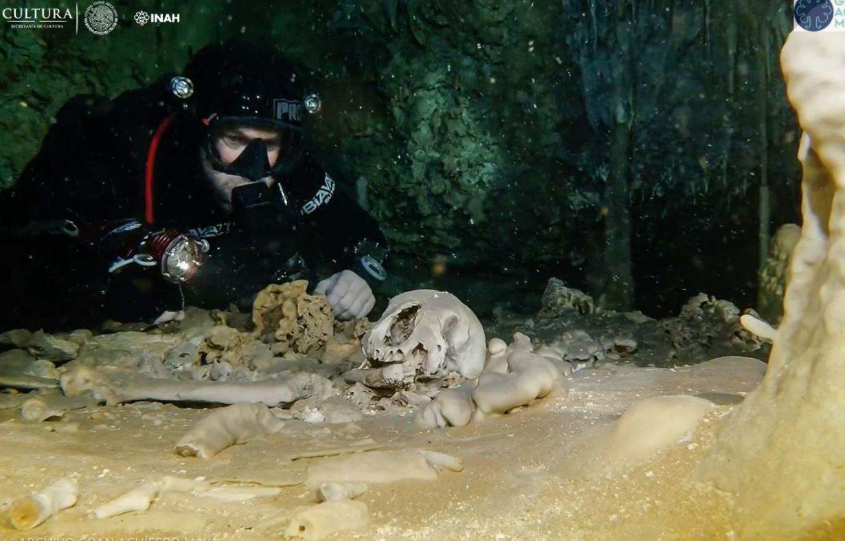 Hallan restos humanos en cueva inundada de Quintana Roo
