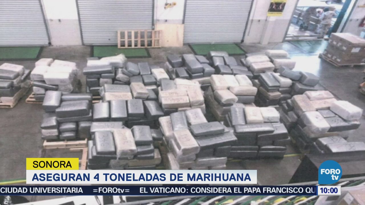 Ejército mexicano asegura 4 toneladas de marihuana en Nogales, Sonora