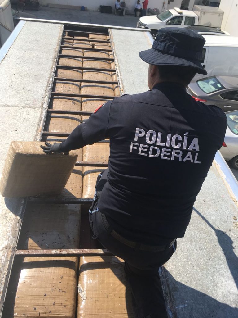 Policía Federal decomisa marihuana en Cosoleacaque