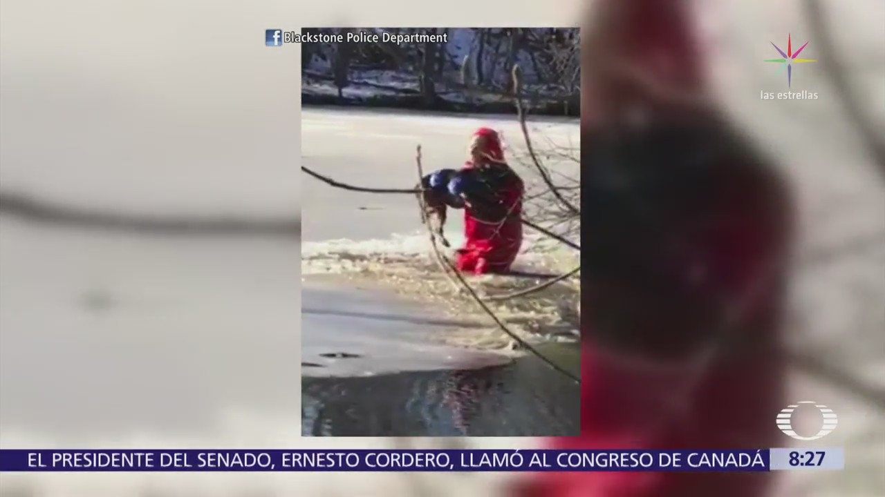 Bombero rescata a perro en Massachusetts