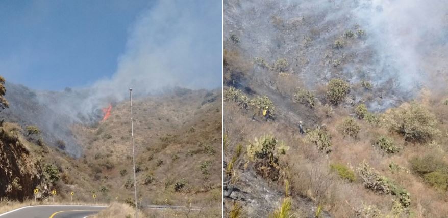 Bomberos combaten incendios forestales en León, Guanajuato